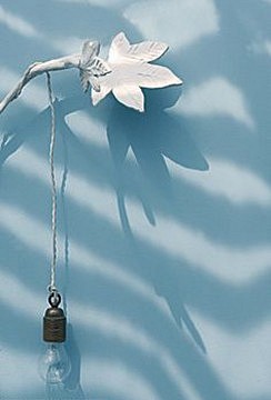 A colourful Summer Shelter . Côté Sud