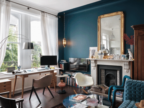 Le Cabinet de Curiosité